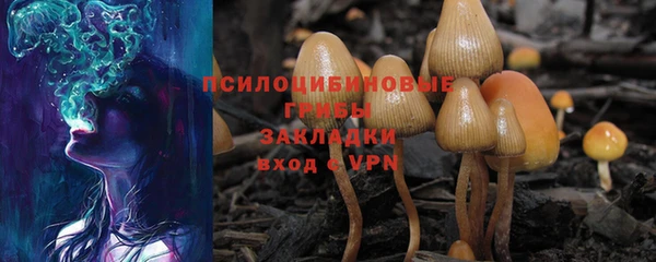 кокс Богданович