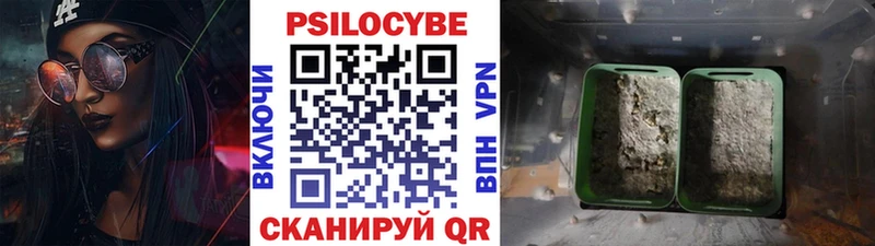Псилоцибиновые грибы мицелий  купить  сайты  darknet состав  Наволоки 